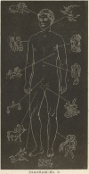 DIAGRAM No. 3.<br> THE SOLAR MAN.