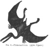 FIG. 2.PTERODLCTYLUS. (<i>After Figuier</i>.)