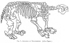 FIG. 7.SKELETON OF MEGATHERIUM. (After Figuier.)