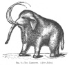FIG. 9.THE MAMMOTH. (After Jukes.)