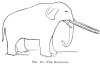 FIG. 13.THE MASTODON.