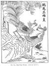 FIG. 91.THE FUNG HWANG. (From the <i>Rh Ya</i>.)
