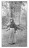 A WOOD GATHERER.<BR>
As in all Indian tribes, the women do most of the work.