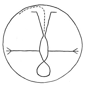 FIGURE REPRESENTING TAMAIAWOT, THE EARTH, THE MOTHER OF ALL.<BR>
Drawn by Pachito, Luise&ntilde;o of Pauma.