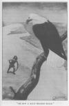 HE SAW A BALD-HEADED EAGLE