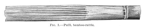FIG. 1.--Pu&iacute;li, bamboo-rattle.